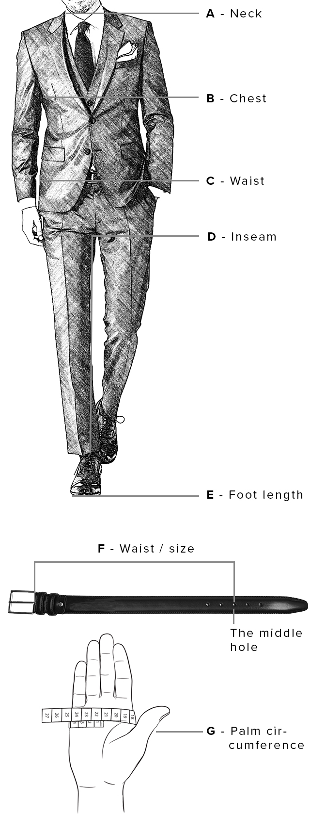 Ralph Chart Size